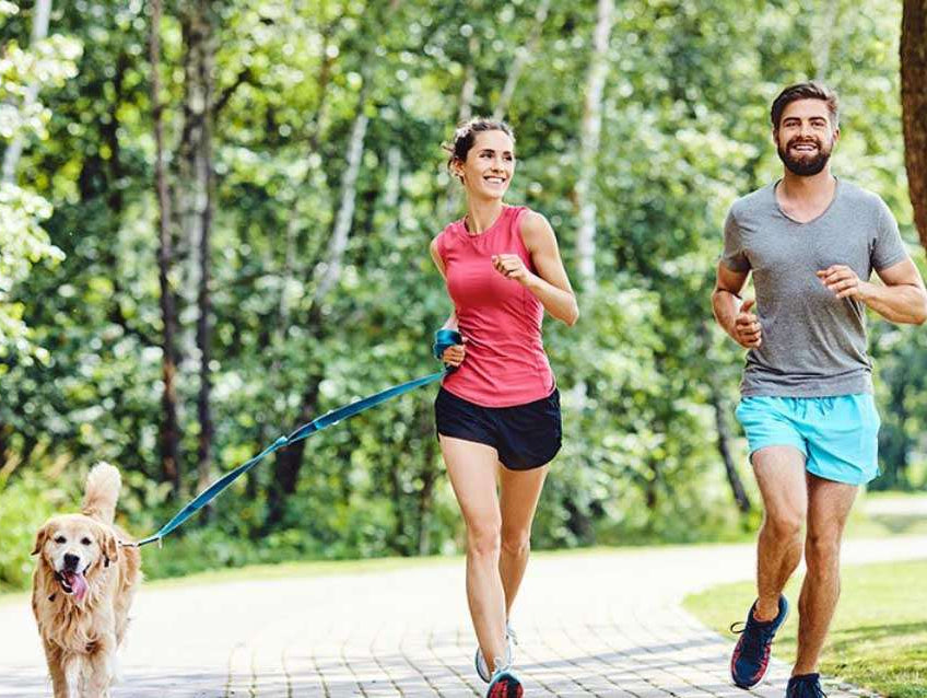 PEMF therapy Health and Wellness