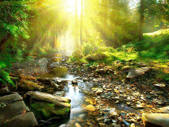 river in forest rich negative ions