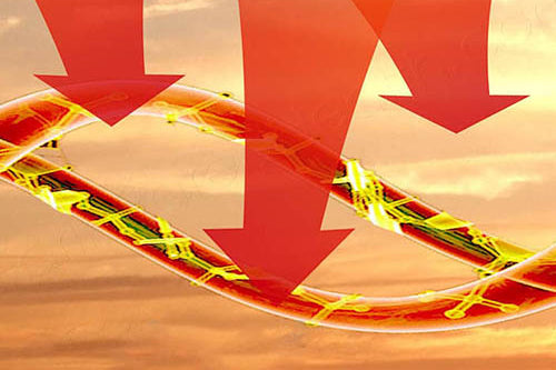 infrared heat therapy