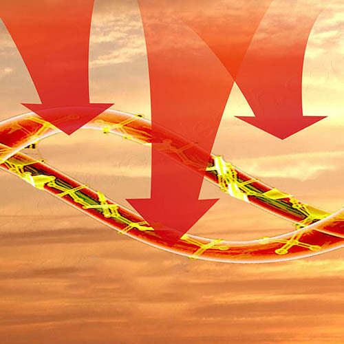 infrared heat therapy